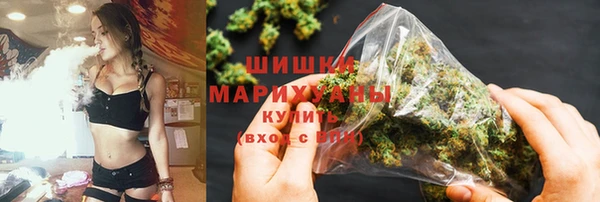 ECSTASY Богородицк