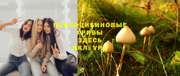 ECSTASY Богородицк